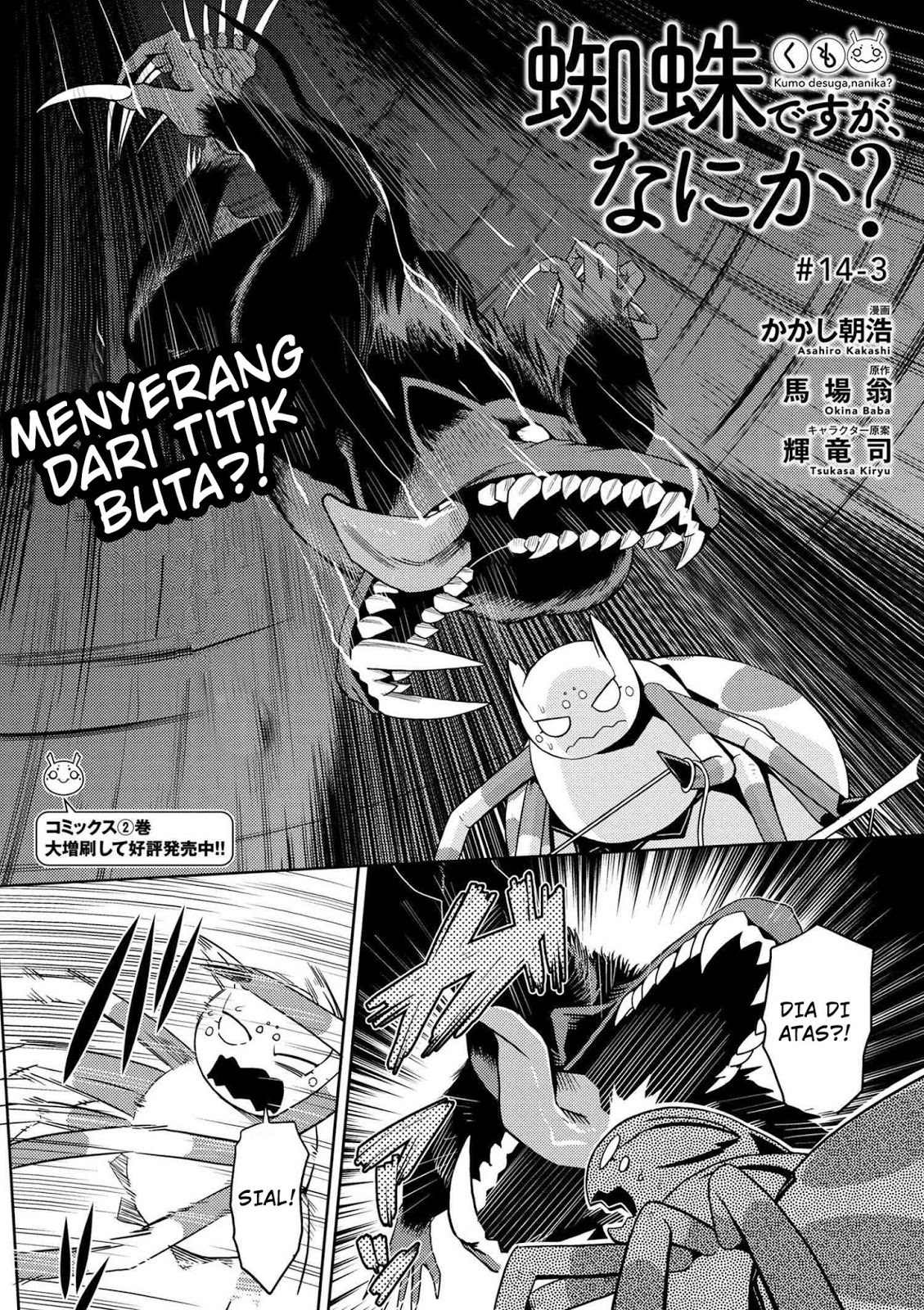 Kumo desu ga, Nani Ka?